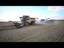 CLAAS LEXION YIELD ONLY